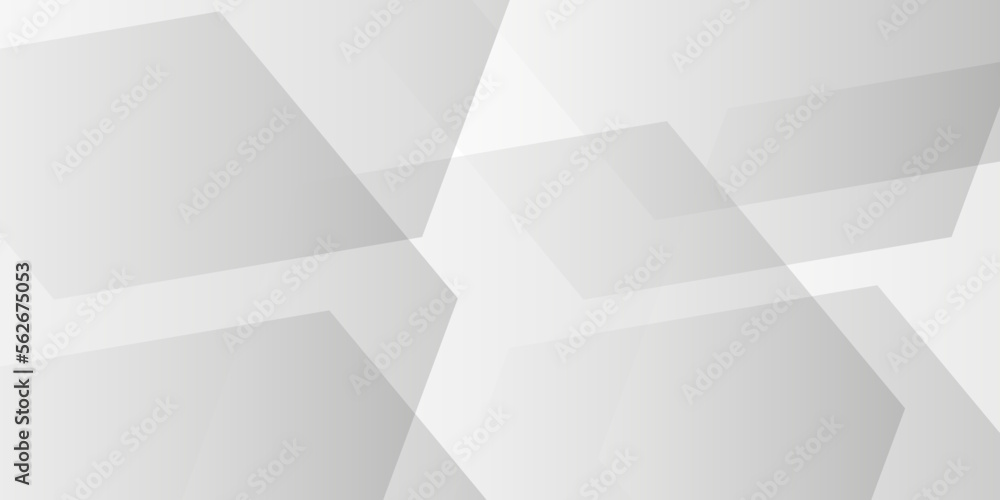 Fototapeta premium Abstract geometric background . Abstract background with lines . Gray and white texture background . white and gray paper triangle abstract background. white paper texture and business ,card,flyer .