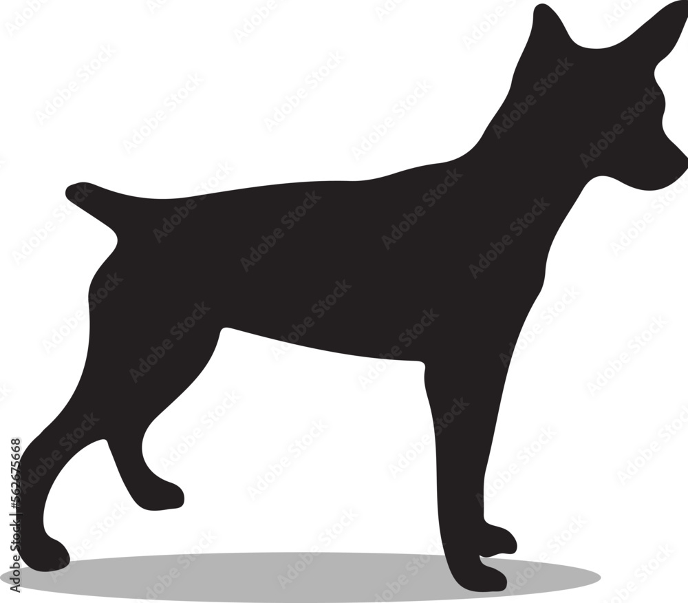 Rat Terriers Silhouette, cute Rat Terriers Vector Silhouette, Cute Rat Terriers cartoon Silhouette, Rat Terriers vector Silhouette, Rat Terriers icon Silhouette, Rat Terriers Silhouette illustration, 