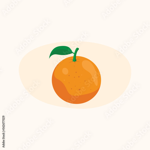 Leafy orange drawing that looks fresh and juicy. Vector