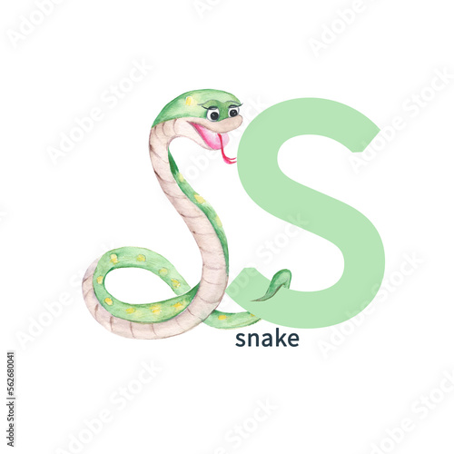 Letter S, snake, cute kids animal ABC alphabet. Watercolor illustration isolated on white background. Can be used for alphabet or cards for kids learning English vocabulary and handwriting.
