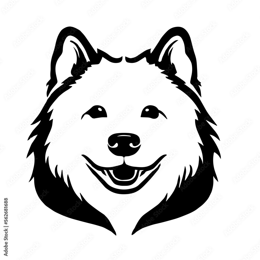 Samoyed Samoyed