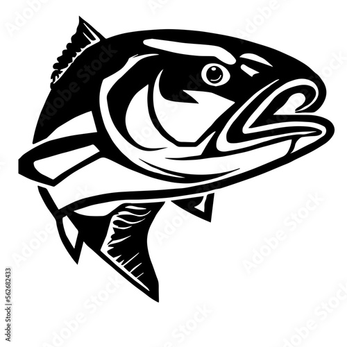 Salmon Creative Design