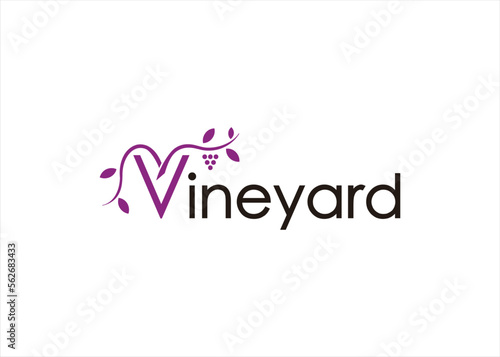 vineyard logo design grape wine icon