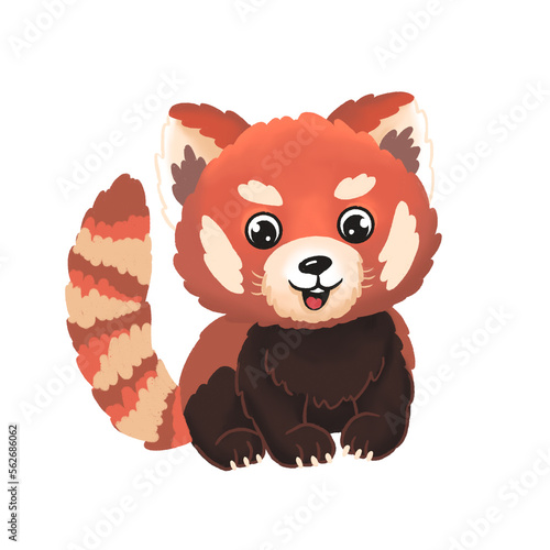 Red panda character. Hand drawn digital animal illustration