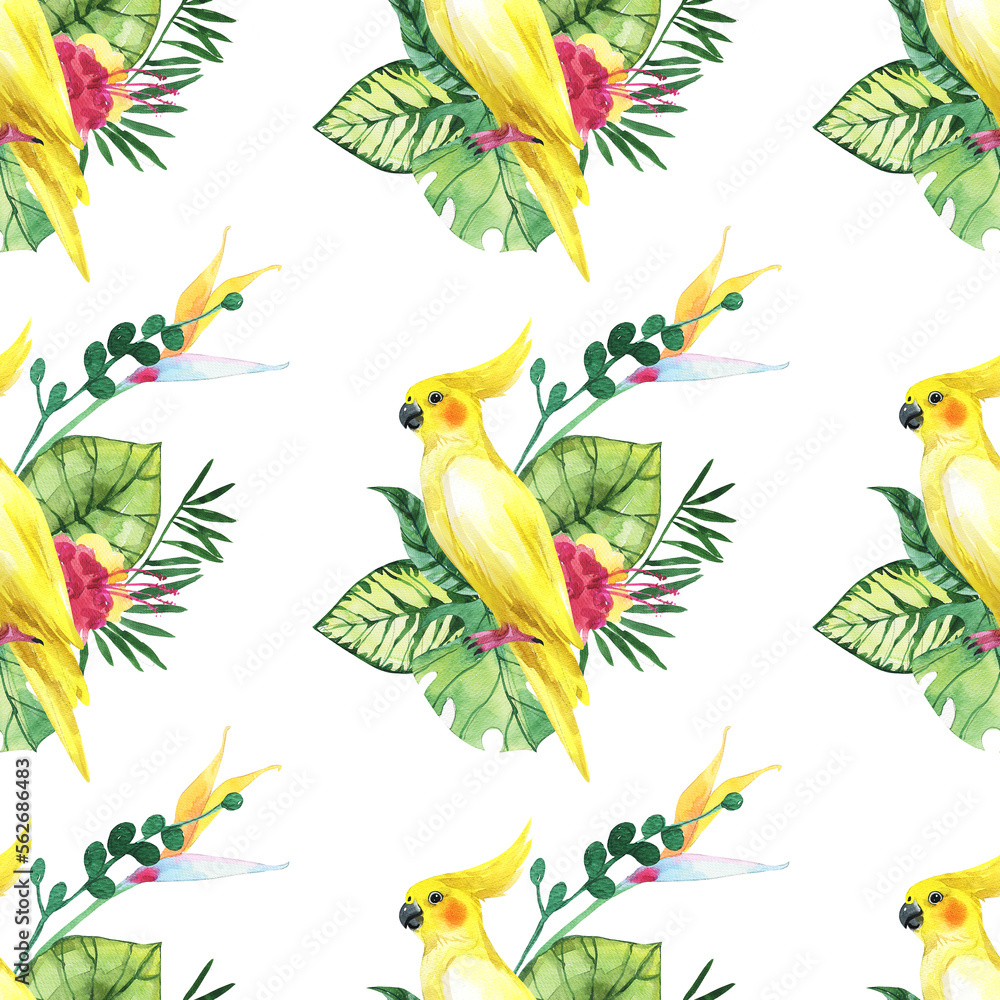 Obraz premium Watercolor cute parrot pattern. Pattern parrot. Watercolor cute animal. Watercolor cute bird. Hand painting postcard isolated white background. birds. cute pattern. cute parrot pattern.