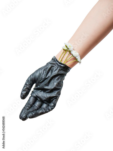 hand with white flowers in a black rubber glove, on a white background, concept of a beauty salon master,