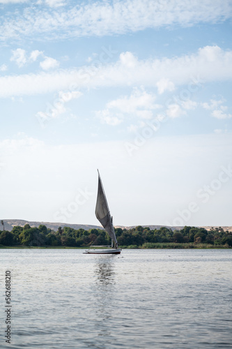 Felucca sailing during the sunset at the Nile river, Egypt. There is a reflection on the water of the ship
