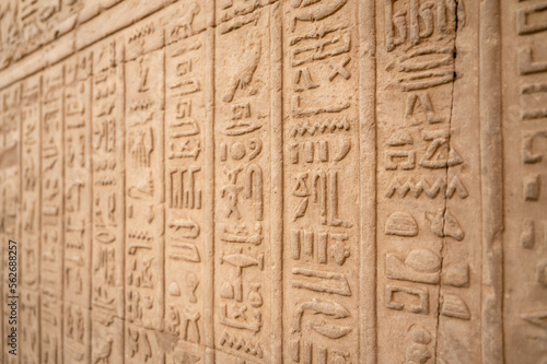 Hieroglyphics of a wall at the temple Kom Ombo from Egypt