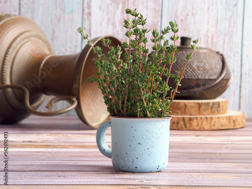 Twigs of green thyme bunch in a small ceramic mug and copper utensils