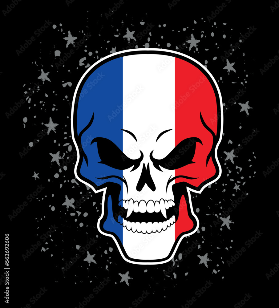 France Flag painted on a skull France Flag painted on a skull