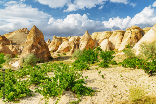 Awesome landscape of Pasabag valley in Cappadocia, Turkey