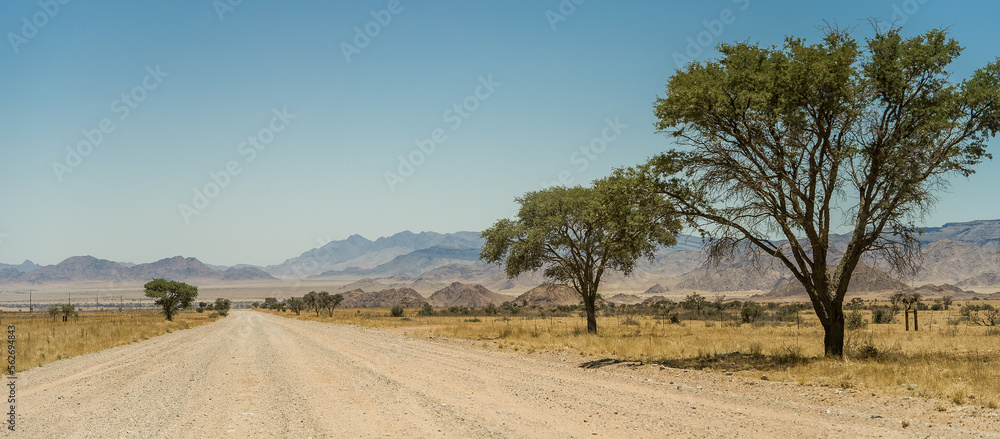 Road in the Namib-Naukluft region of Namibia