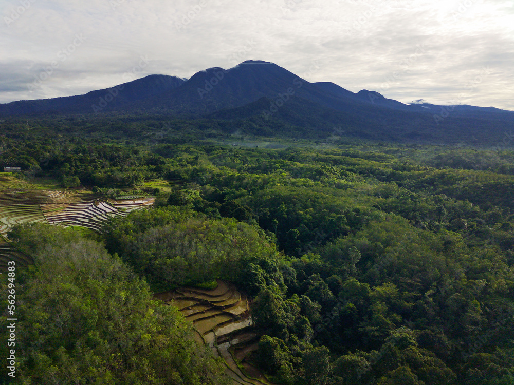Aerial view of rice field terraces under Barisan Mountain at sunrise