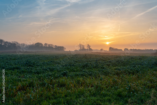 Ground fog in the dusk of the typical flat landscapes of East Frisia in the tourist resort Norddeich directly at the north sea behind the dyke