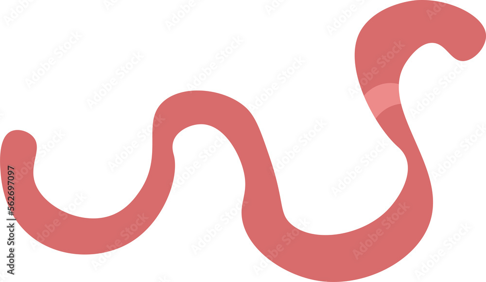 worm design illustration isolated on transparent background worm design illustration isolated on transparent background