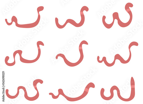 worm design illustration isolated on white background 