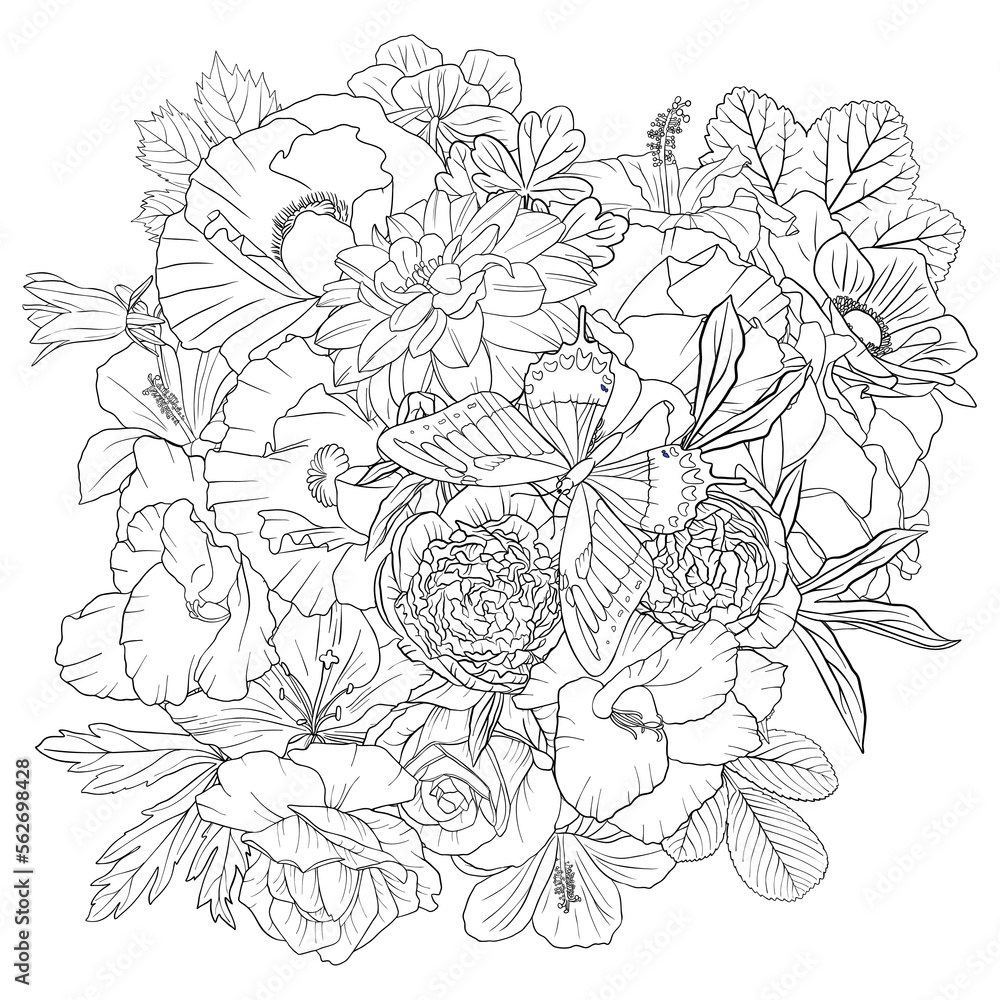 vector drawing natural background with butterfly and flowers, black and white coloring page, hand drawn illustration