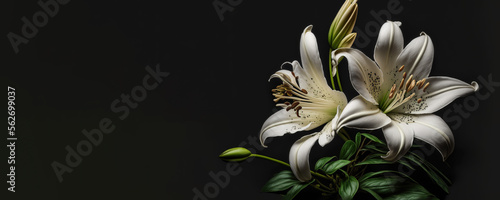Funeral - Lily On Black Background with copy space (Generative AI Art)