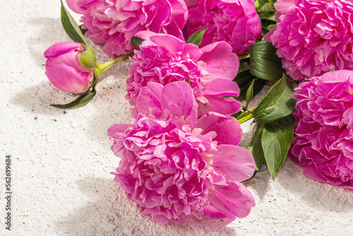 Fragrant pink peonies bouquet. Summer plaster background, seasonal design, festive card concept