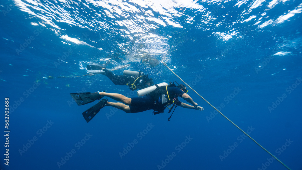 Obraz premium divers practicing a very safe descent holding on to a rope