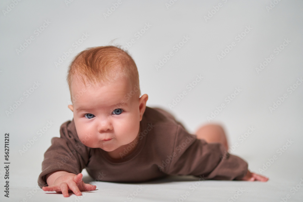 Portrait of an infant in brown clothes on a light background Portrait of an infant in brown clothes on a light background