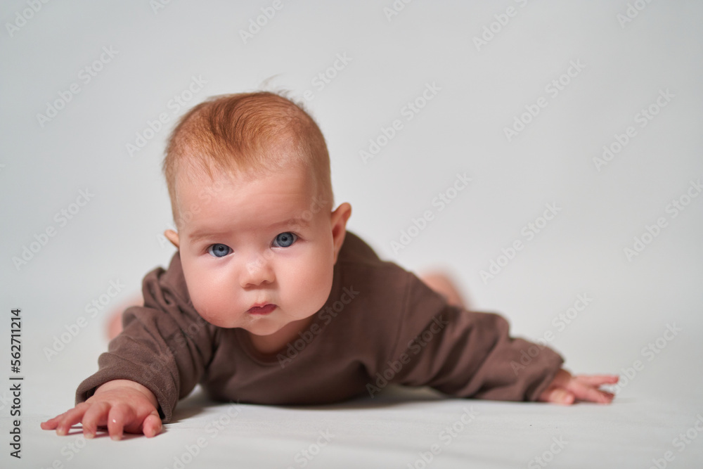 Portrait of an infant in brown clothes on a light background Portrait of an infant in brown clothes on a light background