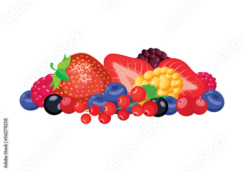 Pile of different berries isolated on a white background vector. Strawberries, raspberries, blueberries, cranberries, red currants vector illustration. Fresh healthy berry fruit drawing