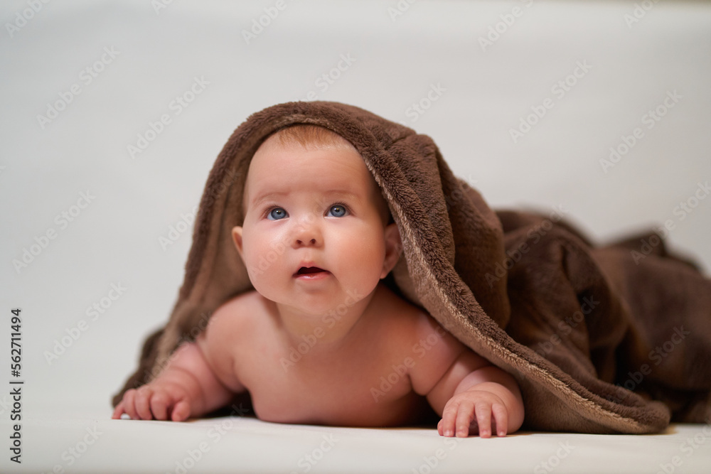 Portrait of a baby looking up under a brown blanket, baby on a white background