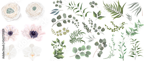Print op canvas Juicy eucalyptus, green plants and leaves