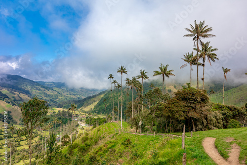 Cocora palm valley in Colombia in South America