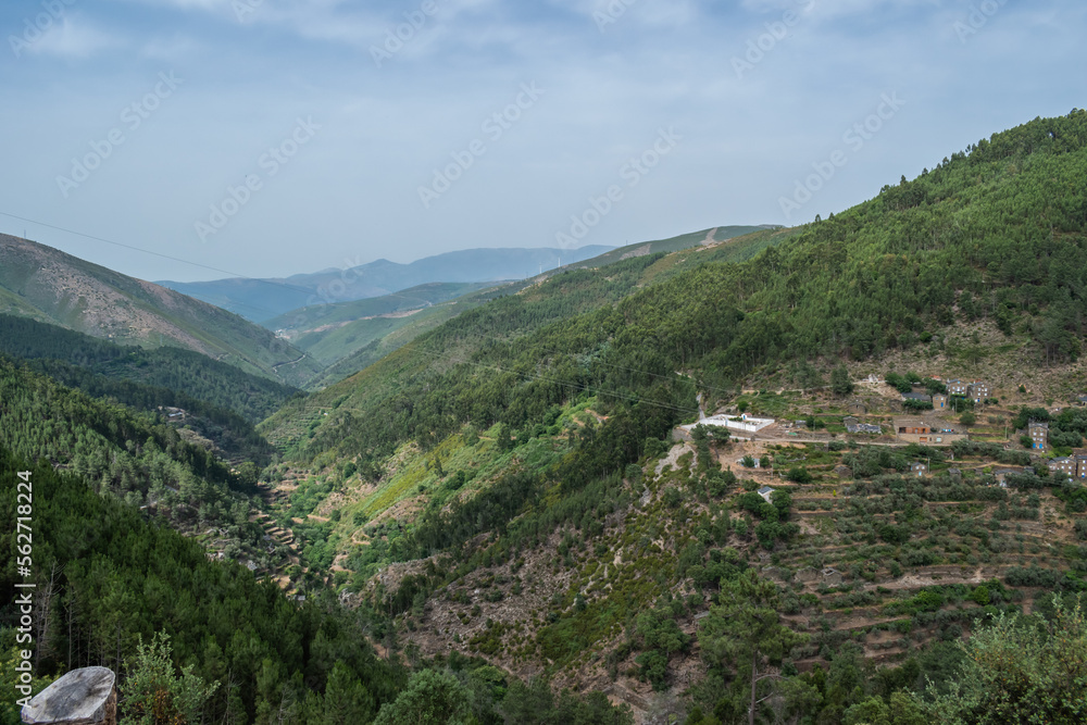 Forest pines in mountains and valley, panoramic and aerial image in Piodão, Arganil PORTUGAL Forest pines in mountains and valley, panoramic and aerial image in Piodão, Arganil PORTUGAL