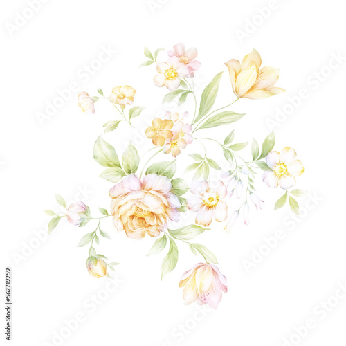 Wallpaper Mural Flowers watercolor illustration.Manual composition.Big Set watercolor elements，Design for textile, wallpapers，Element for design,Greeting card Torontodigital.ca