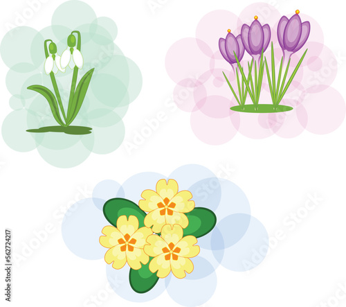 A set of three spring flowers on soft backgrounds