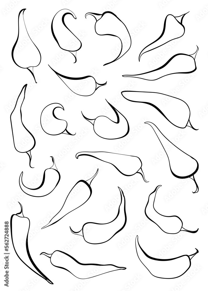 Vector chili peppers Vector chili peppers