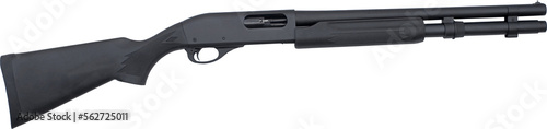 Obraz na płótnie 12 gauge pump action shotgun w salonie