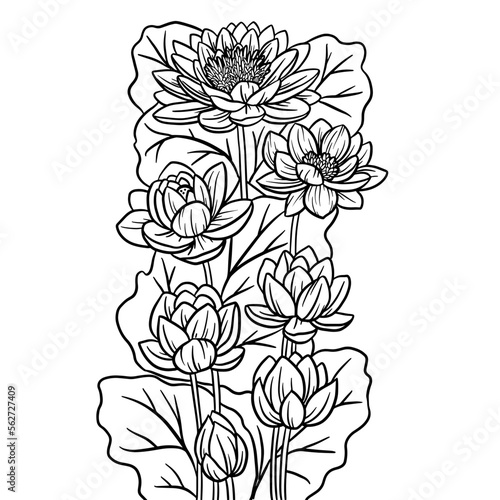 Lotos flowers and leaves composition. Hand drawn vector outline illustration with floral theme