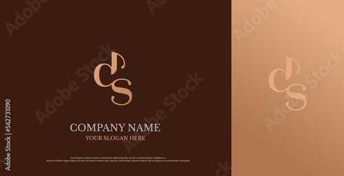 Initial DS Logo Design Vector 