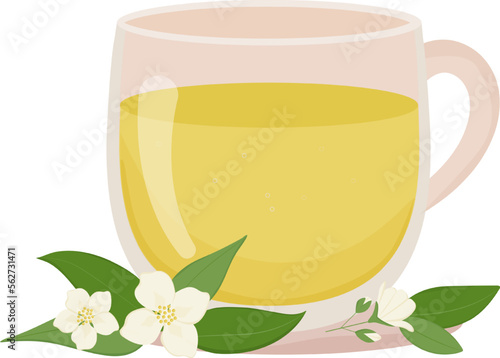 Cup of jasmine tea. Transparent cup with tea and floral decoration. Hot drink. Healthcare. Homeopathic treatment. Vector illustration on