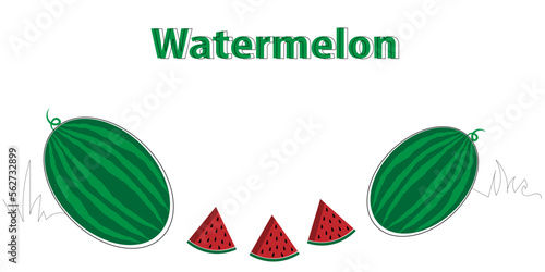 illustration of watermelon in white background