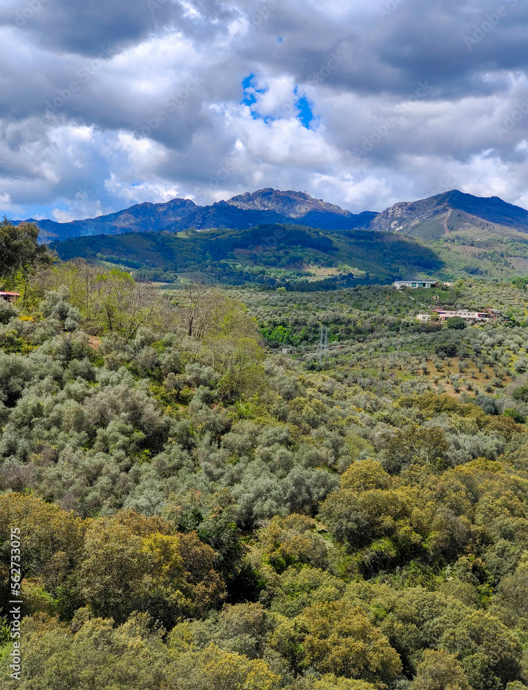 Fototapeta premium Spanish country