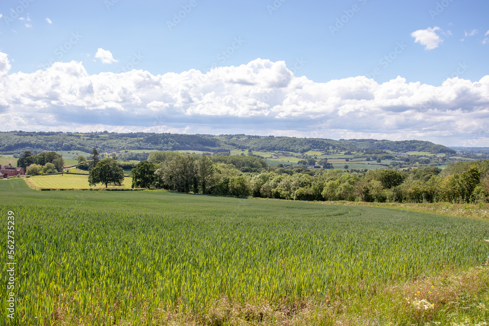 Fototapeta premium Abberley hills in the Summertime.