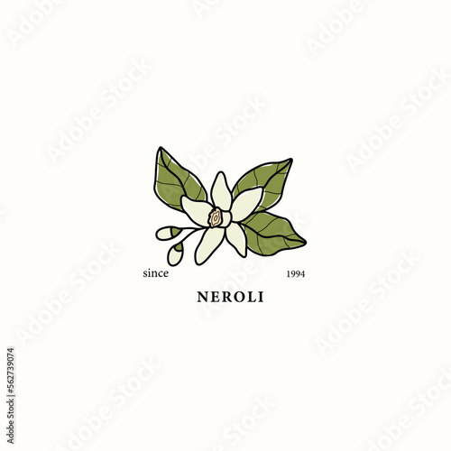 Line art neroli flower drawing
 photo