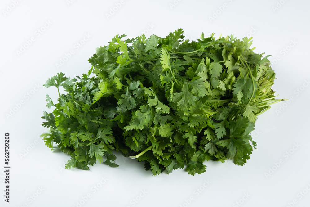 Fresh green coriander leaves on white background Fresh green coriander leaves on white background