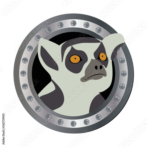 Ring Tailed Lemur vector illustration, A ring tailed lemur peers out through a steel window