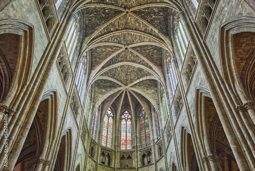 Bordeaux, the city of art and wine