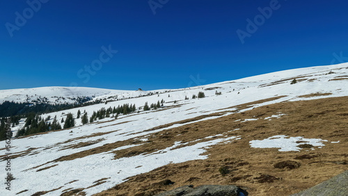 Scenic view of snow covered alpine meadows on the way to mountain hut Wolfsbergerhuette, Saualpe, Lavanttal Alps, Carinthia, Austria, Europe. Untouched field of snow. Ski touring snowshoeing tourism photo