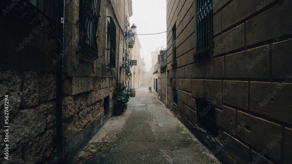 Obraz premium La niebla en busqueda