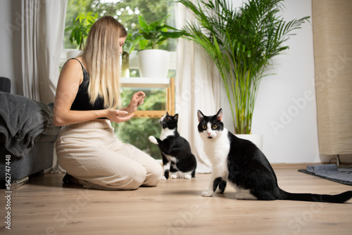 Canvas Print young blonde woman kneeling on the floor  feeding one cat while another cat is w