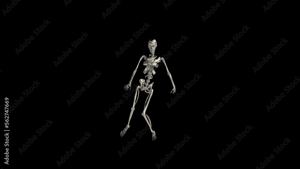 Skeleton Dancing Animation Transparent Alpha Video Skeleton Dancing Animation Transparent Alpha Video
