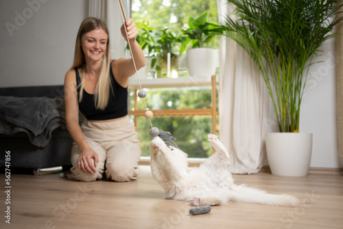Photography young blonde woman having fun playing with her white cat that catches a cat's to